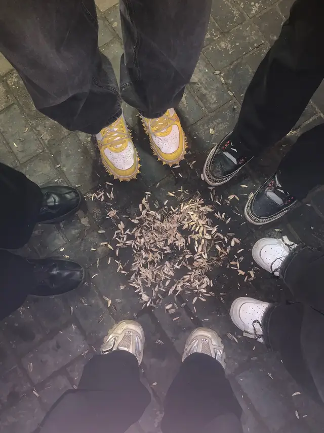 🙂‍↕️🙂‍↕️🙂‍↕️