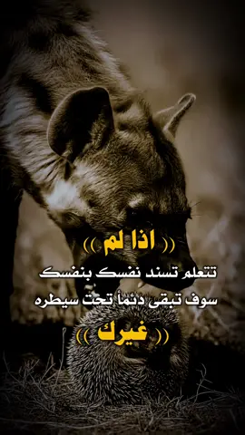 #تصميم_فيديوهات🎶🎤🎬 #عبارات_جميلة_وقويه😉🖤 #اكسبلورexplore #هشتاق #تصميمي🎬 