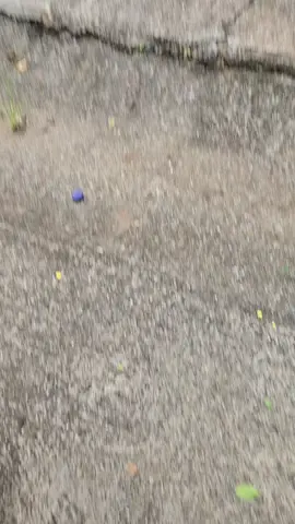 #quebendición #másdeDiosve 