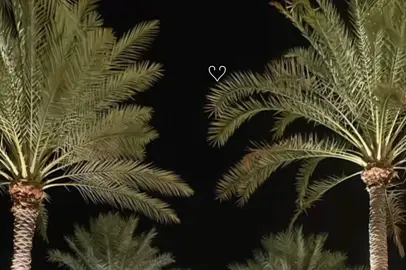 ليه يتركني اعاني 😔؟.  تفاعلڪم 🙇🏻‍♀️🌷. #تصميم_فيديوهات🎶🎤🎬 #جبراتت📮١6 #شيلات_فخمة❤️ #اكسبلور 