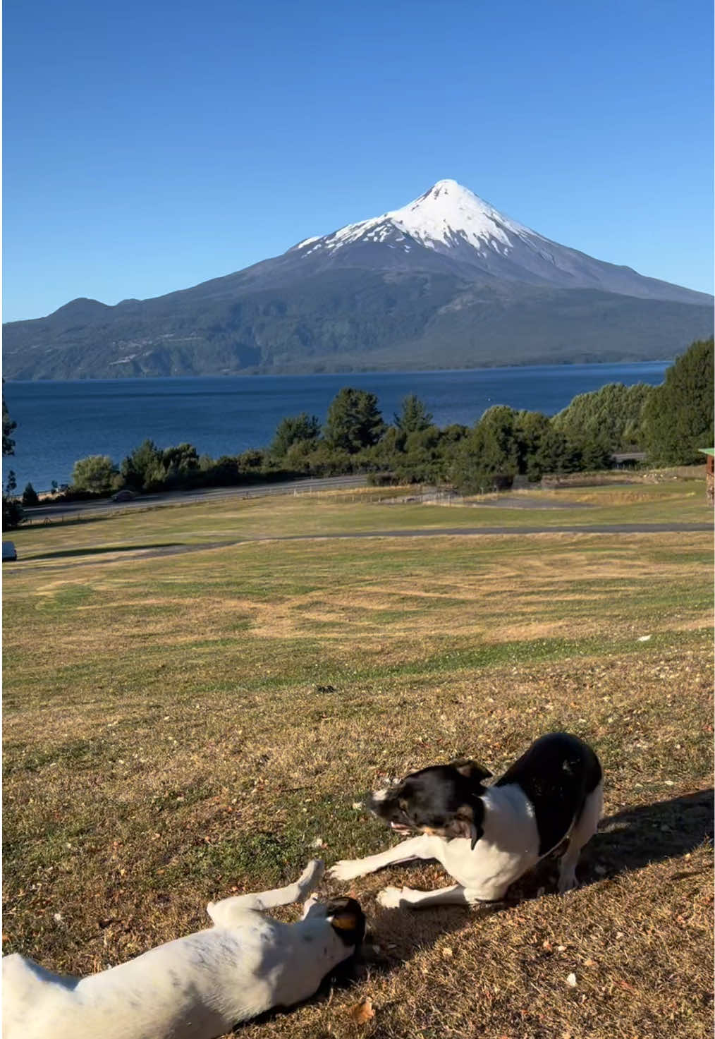 Quem aí tem o sonho de conhecer um vulcão? No Chile existem aproximadamente 2 mil! E 90 deles são considerados ativos! Em muitas cidades você pode ter uma vista incrível deles, como em Frutillar, Puerto Varas e Pucón! O maior vulcão do Chile está no deserto do Atacama e se chama Ojos del Salado! 🇨🇱 Você já viu um vulcão de perto? 👀 Comenta aqui! #vulcao #chile #montanhas #andes #viajar 