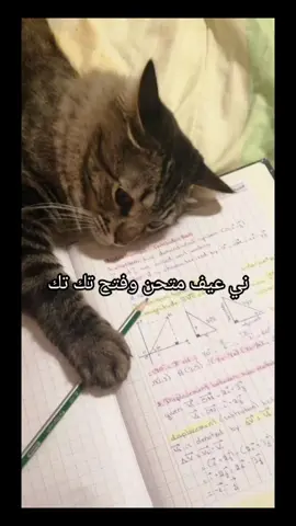 اني عايف الامتحان وافتح تيك توك#explore #movie #fyp 