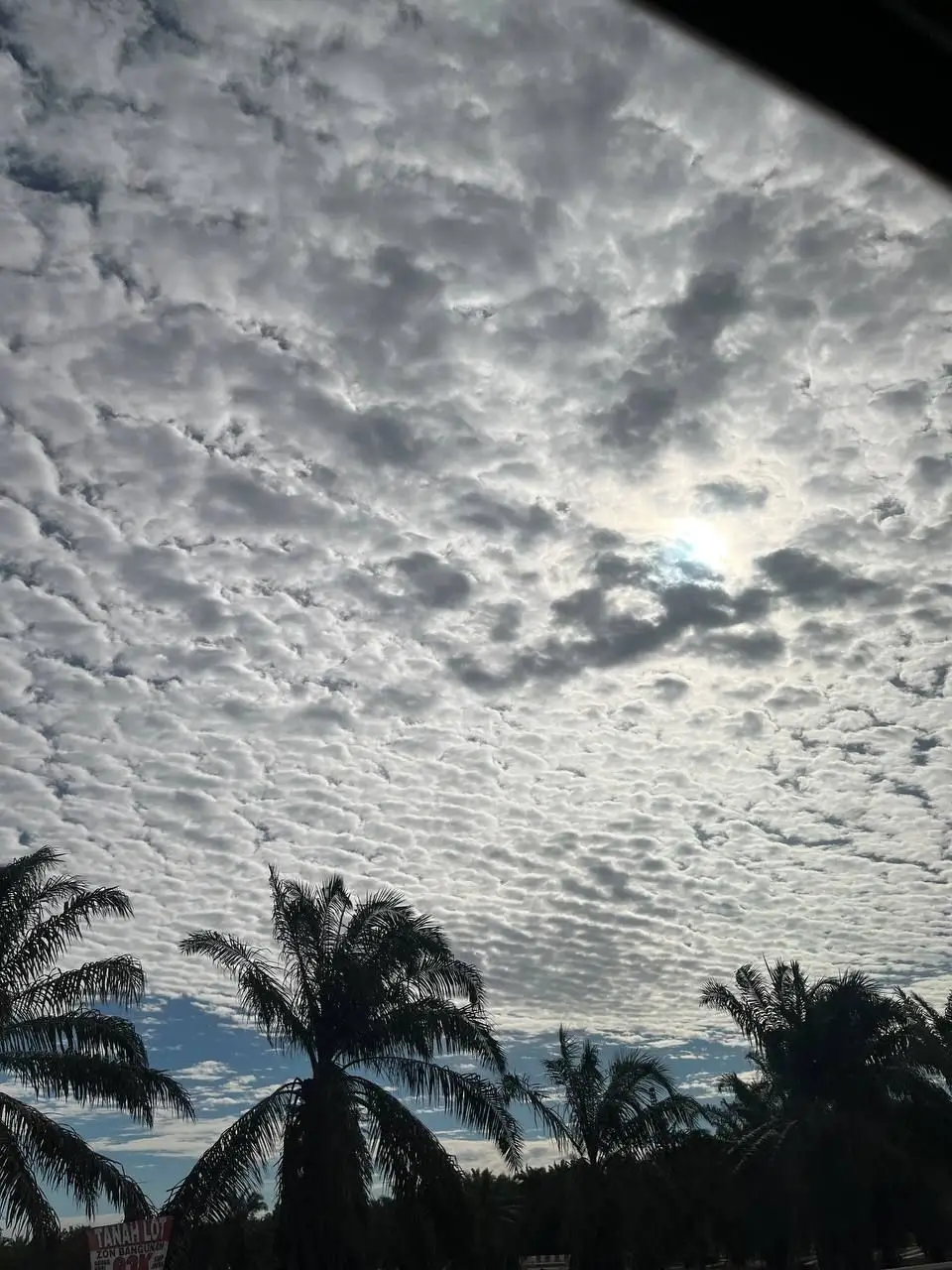 Before all this… I was just someone trying to figure things out ما كنتُ أظنّ أن شهرين وثمانية أيام تُعلّماني ما لم تُعلّمه السنين #studyabroad  #mesir  #alazhar  #degree 