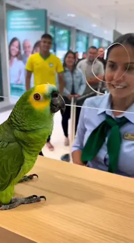 😂😂😂 #papagaio #humor #viral #viraltiktok #humortiktok 