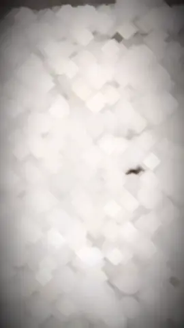 #Motivacional #reflexaododia #CapCut 