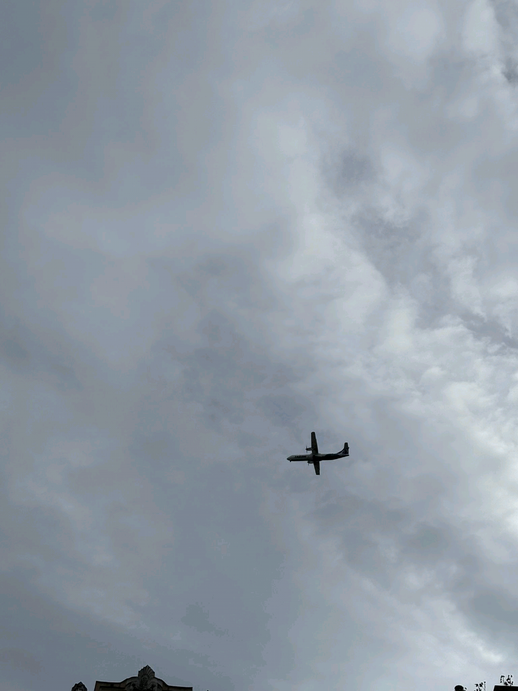 Visul oricărui fan Stitch🥹 #creatorsearchinsights #contentcreator #stitch #fyp 