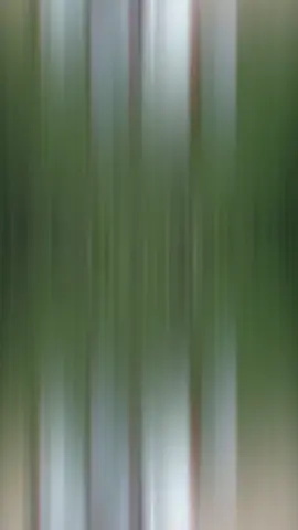 #dtracker #fyp #foryou 🤍🦄