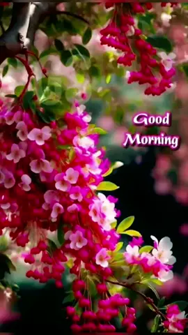 #tiktoktamilmalaysia #fypppppppppppppppppppppp #tamillovesong #90stamilsong #hariharansinger 