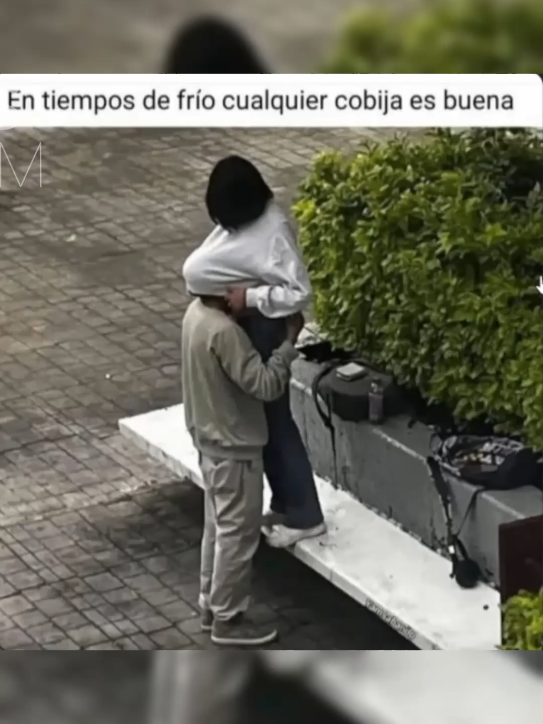 que tal unos memes? 🗿 #memesrandom #elrandom #humorlatino #memeslatinos #risada