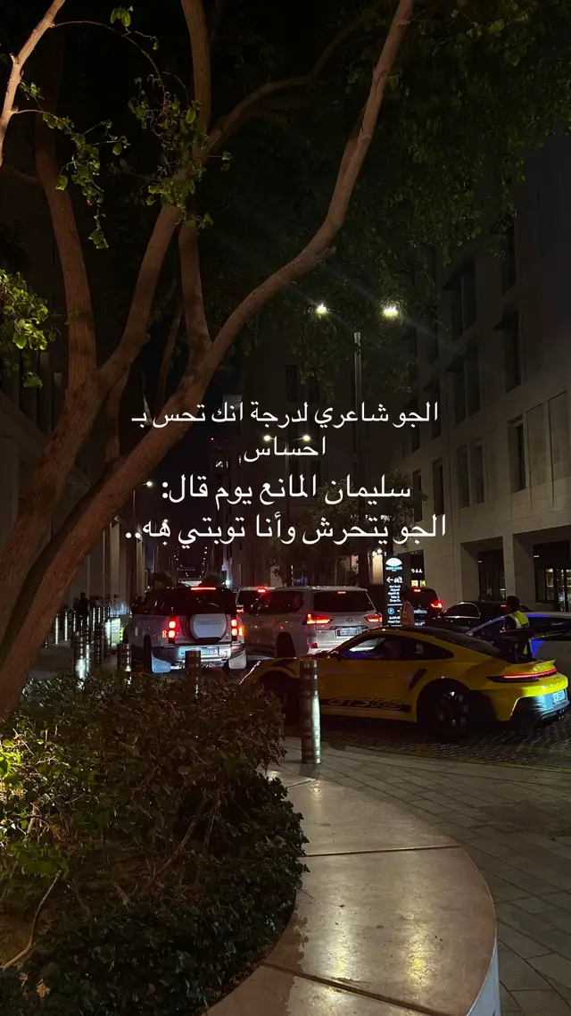 #سليمان_المانع #الجو_يتحرش #مشيرب_قلب_الدوحه #مالي_خلق_احط_هاشتاقات #fyp #اكسبلور 