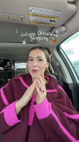 Hoping to find some cute antique/vintage items the next place we try. #antiqueshopping #antiquestorefinds #babychristmas #firstchristmas #newmom 