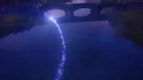 My intro as a Disney princess 🤪🙂 RIP DOLPH 🐬 #CapCut #youngdolph #disney #intro #foryourpage 