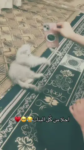 #الشعب_الصيني_ماله_حل😂😂 #تخمطين_اعتبرج_فانزه_الي💆🏻‍♀️ #لايك_متابعه_اكسبلور #اكسبلورexplore 