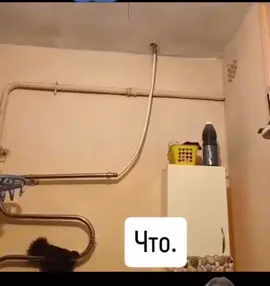 Все таки клюет или не клюет?