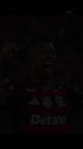 #flamengo #nacaorubronegra #flamengosempre #hojetemflamengo #riodejaneiro 