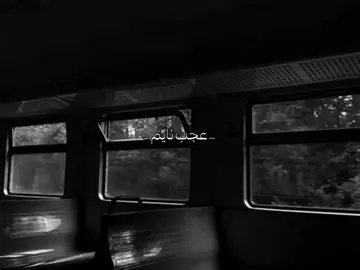 دمع زينب على زنودك 💔 #قصائد_حسينية #باسم_الكربلائي #fyp 