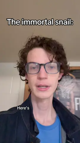 It’s the immortal snail, not the immortal person and also snail. Maybe value it more next time. #comedy #comedyskit #comedyvideo 