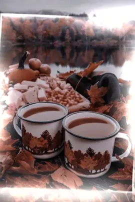 #CapCut #perte  #buongiorno #❤️❤️❤️  #fypシ゚viral🖤tiktok 