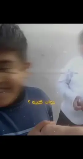 #کەرکوک_هەولێر_سلێمانی_کۆیە_دهۆک #هەولێر #کەلار #CapCut 