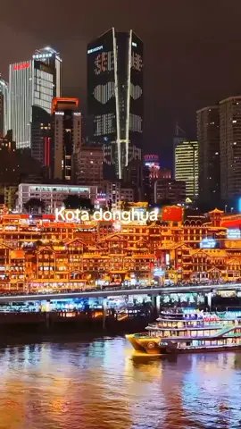 kota donghua di cina 🇨🇳 #wanglin #donghua #renegadeimmortal @FansWangLin 