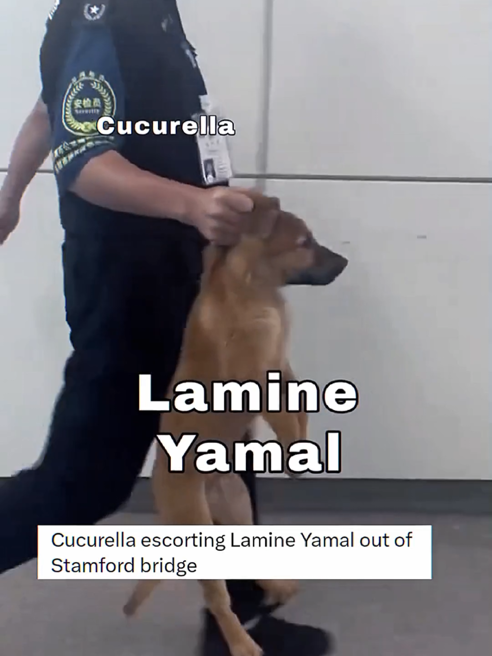 el pressure masuk kantong Cucu🤭 #ucl #chelsea #barcelona #chelseavsbarcelona #fyp 