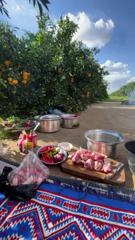 يوسف ابو الجاهل الصنقري #مطروح_رأس_الحكمه_النجيله_براني_السلوم🔥💪 #مالي_خلق_احط_هاشتاقات #الصنقري_بدو_مصر🇪🇬🇪🇬 #الشعب_الصيني_ماله_حل😂😂 