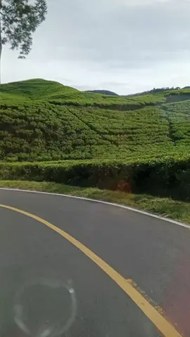 #realfyp #soundfyp #creatorsearchinsights #videofypシ゚viral #videoreels 