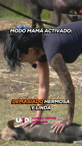 ¡Morimos de amor! #KimShantal se derrite de amor por los cerditos de mi Granja.  Lunes a viernes 9:00 p.m. por Azteca UNO⁣⁣⁣⁣⁣⁣⁣⁣⁣⁣ Domingo La Gala 8:00 p.m. por Azteca UNO⁣⁣⁣⁣⁣⁣⁣⁣⁣⁣ ⁣⁣⁣ ⁣⁣⁣⁣⁣⁣⁣#LaGranjaVIP 🌾 Transmisión 24/7 en #DisneyPlus