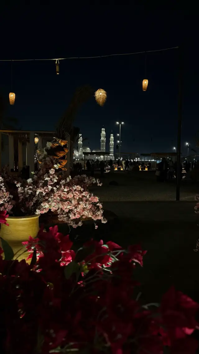 #fyppppppppppppppppppppppp #المدينة_المنوره #عبدالمجيد_عبدالله 