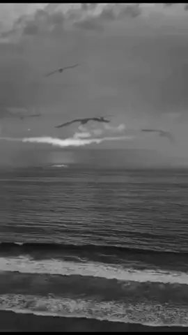 لا شيء يعلو فوق كرامتك ولا  #اقتباسات  #اقتباسات_عبارات_خواطر  #حكم #خواطر_من_القلب❤️ 