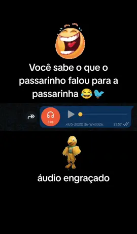 #áudioengraçado #humoráudio #escutaesseáudio #tiktokcriador #áudiotiktok 