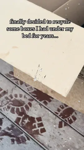 miss you #dragpath #cats #petloss 