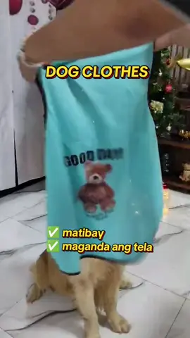 hirap ka rin ba maghanap ng clothes for big dogs? try mo itong clothes ni Truffle... XS up to 6XL up to 50kg kaya...🤩 #dogclothes #petclothes #dog #goldenretriever #trufflevibes  