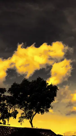 التقيت بالعديد من العيون، لكنني ضعت فقط في عينيك الجميلتين “Aku bertemu banyak mata, tapi aku hanya tersesat di mata indahmu” #quotesislami #syaircinta #arabicsong #langitaesthetic #masukberanda 