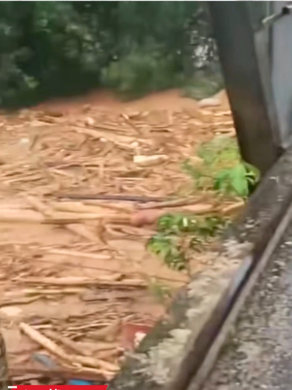 Banjir dahsyat di wilayah Sibolga Tapanuli Tengah dan sekitarnya, selain membawa duka, keruhnya air dan ribuan kayu yang hanyut juga membawa kabar rusaknya ekosistem perbukitan di sekitarnya. Semoga Sibolga dan Wilayah Tapanuli Tengah segera membaik - - -  #banjirbandang #banjirsibolga  #tapanulitengah #sibolga #longsor 