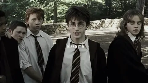 #HARRYPOTTER AMO HARRY POTTER #foryoupage #fyp #foryou #viralvideo 