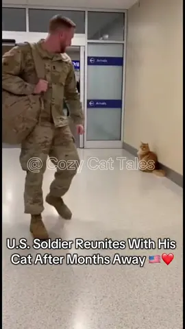 A heart-melting reunion between a U.S. soldier and his loyal cat. Real emotions, real love 🇺🇸❤️ Cats truly never forget their humans. Watch till the end for the jump! . . . #usa #american #usarmy #militaryhomecoming #soldierreunion   #catsoftiktok #catlover #americanveteran #militaryfamily #emotional   #foryou #fypusa #fypamerica #reunionvideo 