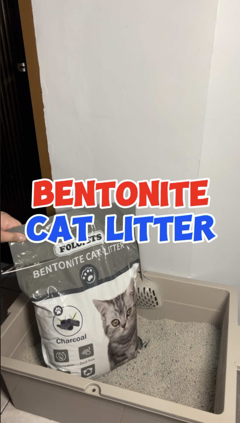 Bentonite Cat Litter para sa pusa mong mapanghe charot #catlitter #littersand #bentonitecatlitter #folopetscatlitter #folopets 