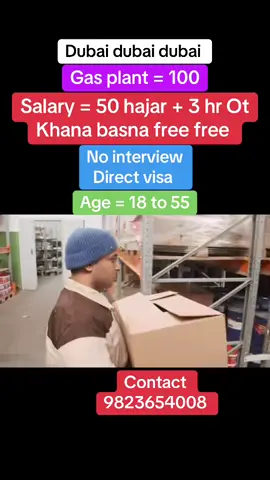 #fyp #baideshikrojgar #freevisa #viral #nepalitiktok 