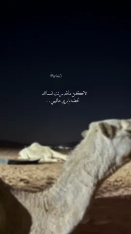 ماقدرت انساااه😢. #اكسبلورexplore #الدوادمي #fyp #شيلات #الشيباني #الوليد_ال_عامر 