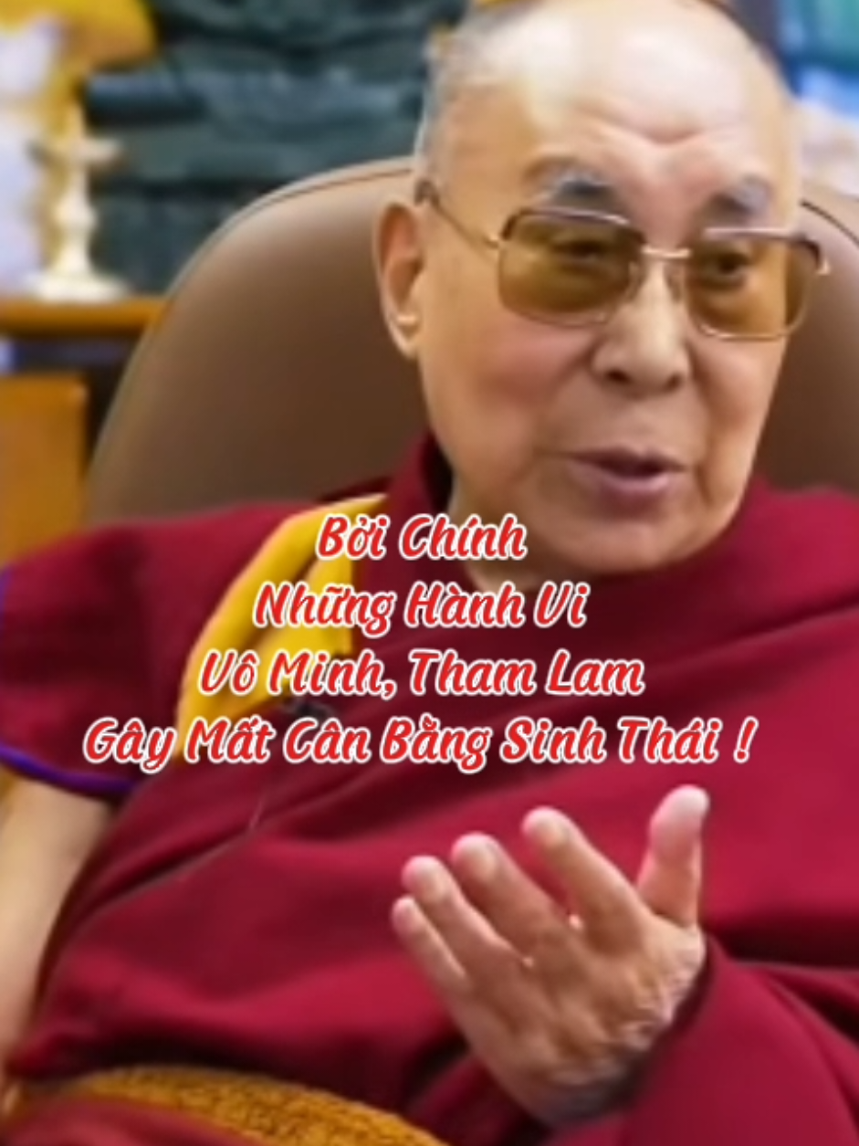 Bởi Chính  Những Hành Vi  Vô Minh, Tham Lam  Gây Mất Cân Bằng Sinh Thái #loiPhatday #DatLaiLatMa #thongdiepcuocsong #nhungcaunoihay #xuhuongtiktok 
