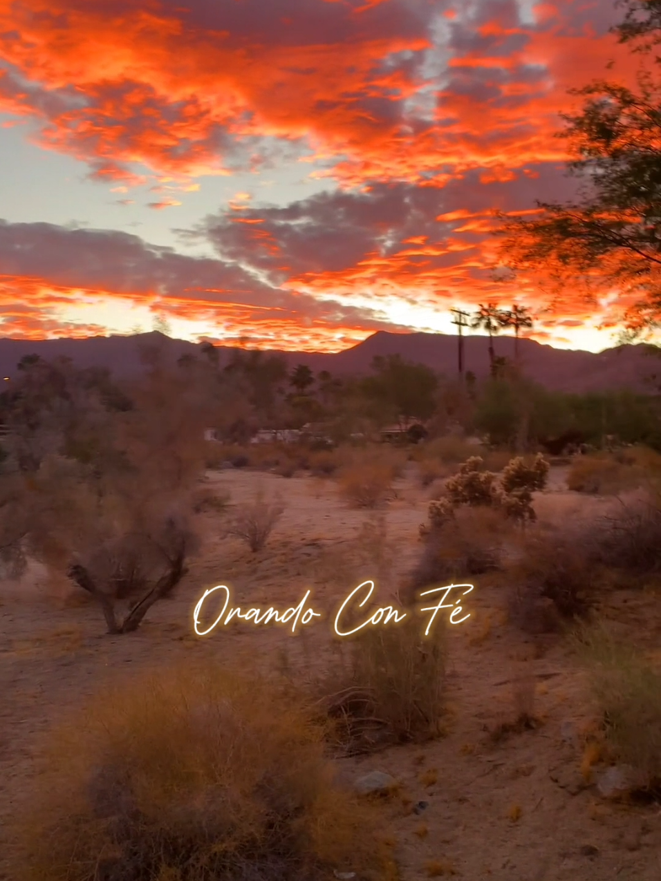 Hermosa Oración De La Noche. Dios, en esta linda noche tomo un momento para agradecerte por todo lo que viví hoy. gracias, padre, porque mi hogar está lleno de hermosas bendiciones, y porque mi corazón descansa con la certeza de que tú eres mi amigo fiel. gracias por el trabajo que tengo; ya que de él, puedo obtener el sustento para mi familia, y poder estar tranquilo. me siento bendecido por tener un techo, por tener paz, y por saber que, aun en las dificultades, tú permaneces fiel conmigo, sosteniendo mi mano con firmeza. te pido, padre: acompáñanos. quédate con nosotros; llena cada espacio de mi casa, y trae aún, más serenidad a mi hogar. que tu presencia nos cubra, y que tu luz, aleje todo miedo, preocupación o duda. señor, que nunca olvide que todo lo que tengo viene de ti. por eso, con humildad y con amor, confieso señor jesús, que tu eres mi señor y mi salvador: y confío en que el día de mañana será aún más bendecido. #oraciondelanoche  #oracionespoderosas  #oracion  #videoscristianos  #oracionescristianas 