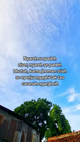 #katakatamadura #madurapride #fyppp #maduratiktokviral 