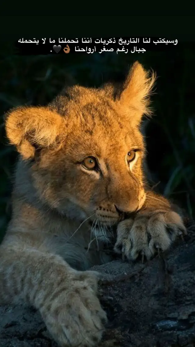 #🖤tiktok #fypage #اقتباسات #عباراتكم_الفخمه📿📌 #الناصره_الشامخه👑🦅 