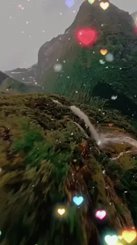 #trending #greenscreen #parati #creatorsearchinsights #viral 