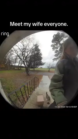 No cats were harmed in the making of this video #fart #kitten #fyp 