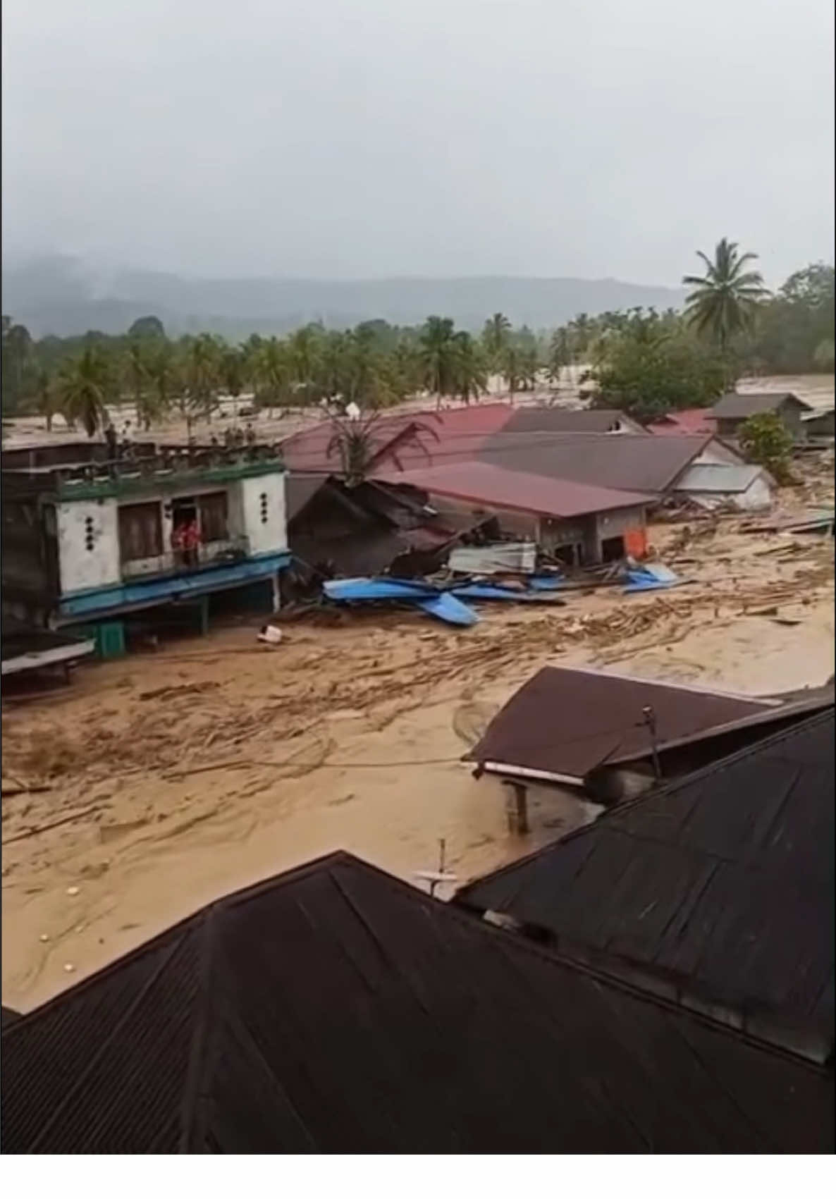 Ampuni Hami Ya Allah #bencanaalam #batangtoru #sibolga #fyp #kumpulanlagumandailing 