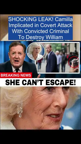 SHOCKING LEAK! Camilla Implicated in Covert Attack With Convicted Criminal To Destroy William