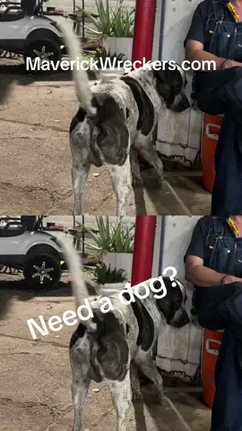 It’s 5:00 somewhere.   Come by and grab a beer or a dog. #wreckerlife #towtruckrepair #towtruck #maverickwreckers 