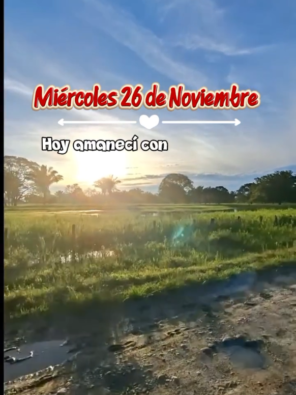 Miércoles 26 de noviembre Buenos días 🌞🤠  #buenosdias #miercoles #viraltiktok #fyppppppppppppppppppppppp #LIVEFEST2025 